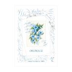  бумажная продукция * Note вид SAKAE Sakae Technica ru бумага калька OMOKAGE 55g/m2[PT-A4P-55]