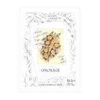  бумажная продукция * Note вид SAKAE Sakae Technica ru бумага калька OMOKAGE 55g/m2...[PT-A4P-HT55]