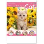 [ суббота, воскресенье и праздничные дни . отправка возможно ]2026 год настенный календарь солнечный кий * кошка NK455 373×254mm