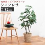 人工観葉植物 シェフレラ 造花 フェイクグリーン インテリア 雑貨 6号サイズ 鉢カバー セット リビング 玄関 枯れない 衛生的 ロビー テラス 癒し おしゃれ