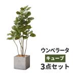 観葉植物 大型 ウンベラータ 鉢カバー セット 高品質 アーティフィッシャルフラワー 造花 人工観葉植物 フェイクグリーン 枯れない 臭わない 水不要 おしゃれ