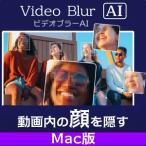 AVCLabs Video Blur AI(e-bisi-labo видео bla-e- I ) | Mac версия 