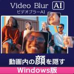 AVCLabs Video Blur AI(e-bisi-labo видео bla-e- I ) | Windows версия 