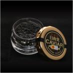  день юг departure (. топорик ) черная икра 20g×2 шт Miyazaki префектура день юг caviar прямая поставка от производителя / оплата при получении не возможно / включение в покупку не возможно * Hokkaido * Tohoku Area. отдельный транспортные расходы .1000 иен возникает.