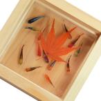 樹脂金魚 金魚アート メダカ めだか 輝 紅葉 こだわりの純日本製 3D金魚 手作り プレゼント付き もみじ モミジ 期間限定1500円割引クーポン対象品