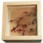 金魚アート 樹脂金魚 手作り  クマノミ いぬ 犬 イヌ ポメラニアン 純日本製  ハンドメイド プレゼント付き 期間限定1500円割引クーポン対象品