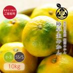 【3営業日以内に発送中】極早生みかん 送料無料【 SS/S サイズ 10kg 】多少キズありご家庭用 極早生 小玉 小粒 SS S みかん 訳あり 薄皮 和歌山 温州 糖度 紀の