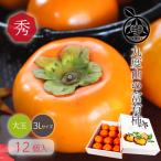 九度山 の 富有柿 送料無料 【 秀品 3L サイズ 化粧箱 12玉入 】 約3.5kg 名産 和歌山 ブランド 大玉 柿 フルーツ ギフト 贈答 甘い 糖度 紀の