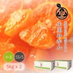 小玉みかん【5kgx2箱】送料無料 濃厚な甘みがギュッと詰まったみかん 小玉 小粒 SS S みかん 薄皮 家庭用 温州 和歌山 甘い 紀の