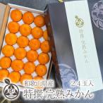 お歳暮 特撰 完熟みかん【 秀品 M サイズ 24個入り 】オリジナルギフトボックス入り和歌山県産 温州みかん 味・見た目共に優れた 秀品 ギフト プレゼント 御歳暮
