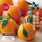 ショッピングデコポン 旬のみかん詰め合わせ【 10kg 】ご家庭用 ３〜４種類 ポンカン デコポン ネーブル 清見 八朔 甘夏 はるみ 春峰 麗紅 等 和歌山 みかん 果物 セット 詰合せ 紀の