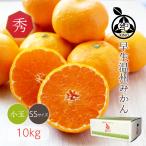 小粒みかん【 秀品 SS サイズ 10kg 】送料無料 みかん 温州みかん 高糖度 小玉 小粒 和歌山 早生 温州 紀南 甘い 家庭用 御歳暮 ギフト 紀の