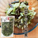 国産　山菜ミックス　水煮　100ｇ