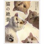  кошка. ..