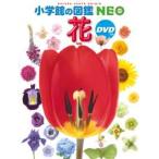 小学館の図鑑ＮＥＯ  花