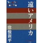 P+D BOOKS.. America 