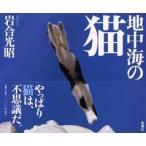 地中海の猫