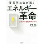 . батарейка общество ... энергия переворот -2050 год, электрический плата. 1|10.