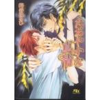 幻冬舎ルチル文庫  たおやかな真情