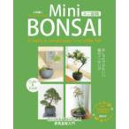  мини бонсай - модный . симпатичный зеленый. интерьер декорации бонсай введение 