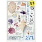 大人のフィールド図鑑  原寸で楽しむ美しい貝　図鑑＆採集ガイド