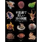  тайна . прекрасный .. иллюстрированная книга 