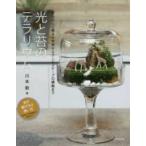  свет . мох. террариум 