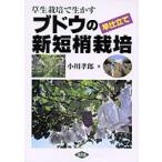 草生栽培で生かすブドウの早仕立て新短梢栽培