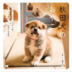  Akita собака. ...
