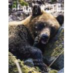 BEAR TRUTHhigma. подлинный реальный 