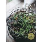 btik* Mucc начинающий тоже .. легко, орнамент . только .. стать взрослый . приятный суккулентное растение ( модифицировано . версия )