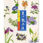 花を描こう　夏の散歩道