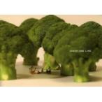 ＭＩＮＩＡＴＵＲＥ　ＬＩＦＥ