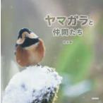 yamagala. компания ..
