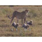  Africa Savanna -тактный - Lee сырой .. чуть более .