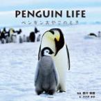 ＰＥＮＧＵＩＮ　ＬＩＦＥ―ペンギンおやこのとき