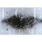 ICE FORMS- лед. тайна 