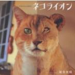  кошка лев 