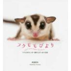 Sphere booksfk Momo ...-f черный Momo nga один дом. мелкие сколы от камней ... дневник 