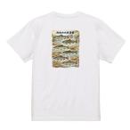 ゆうパケット発送対応商品★ 【清流の川魚図鑑】リアル