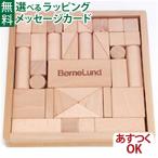 ボーネルンドオリジナル (BorneLund Original) オリジナル積み木 S