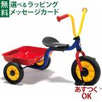 三輪車 BorneLund ボーネルンド winther ウィンザー 社 乗用玩具 ペリカン三輪車 Vハンドルカラー 2歳 おもちゃ 知育玩具 入園 入学