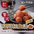 梅干し-商品画像