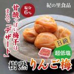 梅干し ご家庭用りんご梅 紀の里食...