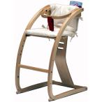 e-chair( специальный подушка имеется )