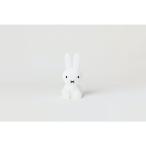  Miffy [Bundle of light Night свет освещение ( Miffy )]