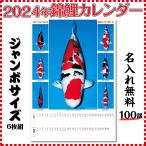 【泳ぐ宝石】名入れ無料　２０２４年　錦鯉　ジャンボカレンダー　１００部　特大