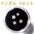 ウミユリ化石 ウミユリ 1セット 4個 ランダム 化石 アメリカ産