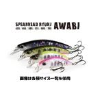 限定 スピアヘッド リュウキ 60S アワビ DUO SPEARHEAD RYUKI AWABI メール便(追跡あり)