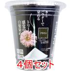 自然彩色 白髪染め 染美A ナチュラルブラウン 30g×4個セット